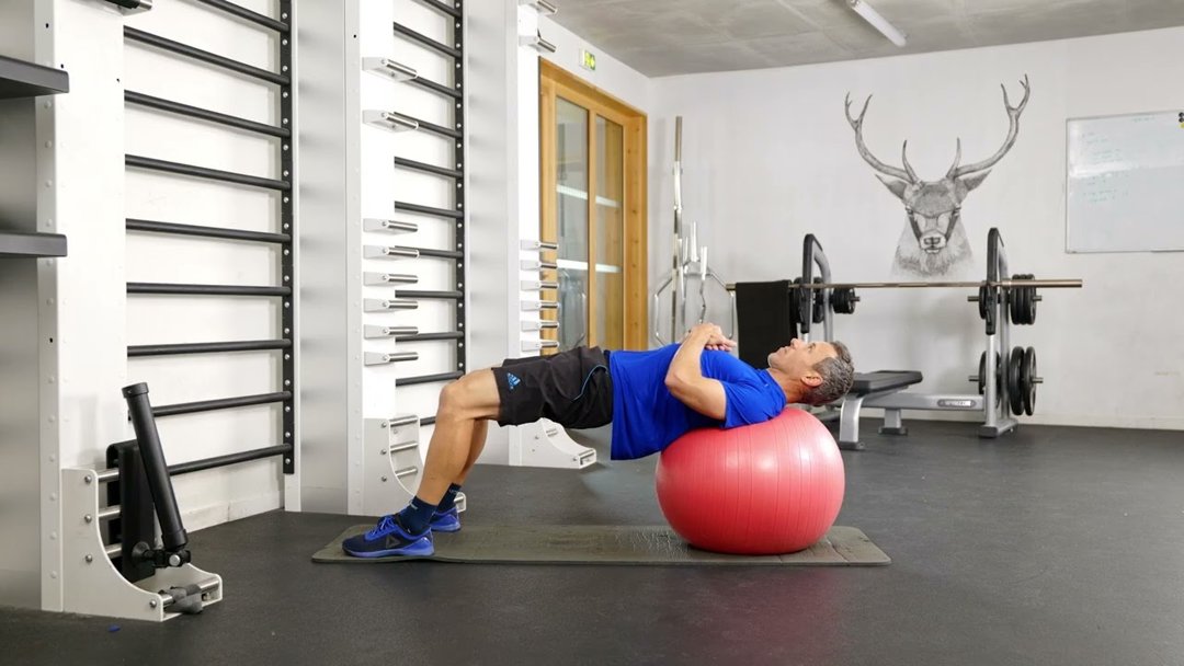 Gainage dos sur swissball